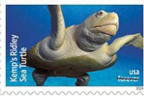 USPS unveils ‘Protect Sea Turtles Forever’ stamps to raise awareness
