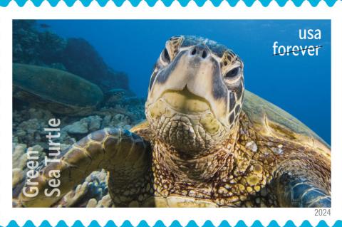 USPS unveils ‘Protect Sea Turtles Forever’ stamps to raise awareness