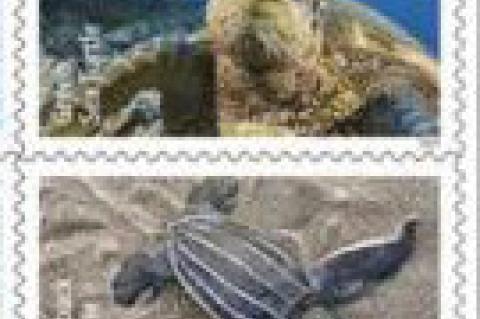 USPS unveils ‘Protect Sea Turtles Forever’ stamps to raise awareness